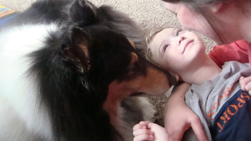 Child and dog bonding